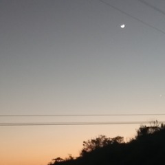2814502
