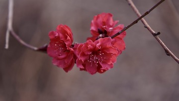 F7E15353-11B6-4648-829E-AEEA4D5B0DD4/L0/001