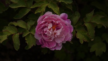 EB13706A-07EE-43E2-B7D4-2AC27AF2766A/L0/001