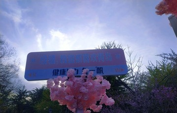 498003