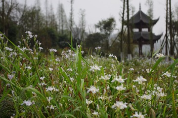 IMGP0368.JPG