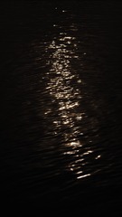 D40CA22D-0EC8-4AC7-AE3F-2FE900988782/L0/001