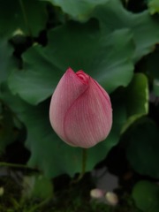 1420343