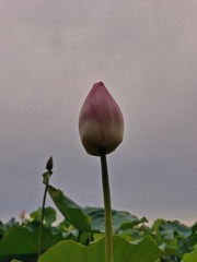 1420342