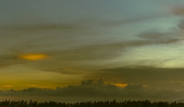 1424554