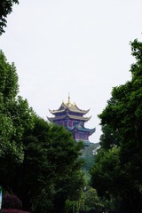 71E3485F-C9C5-4D2D-A4FD-B3350AF0546F/L0/001