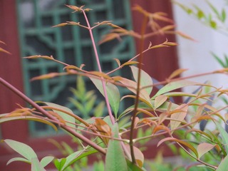 412D39E4-9BEC-404E-AD1D-7781358B9067/L0/001