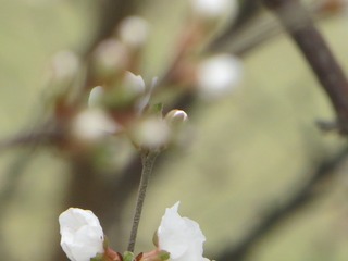 E25B8318-6DD7-4690-94B2-D6049FE8E38C/L0/001