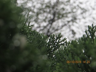 C66C1657-1E29-4560-8F28-AF2377B0D0B5/L0/001