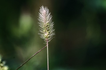 C04147C9-F220-4B10-A0EC-53FF554EF208/L0/001
