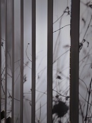 178D71E9-367E-409F-9A03-06701A3B8CCA/L0/001