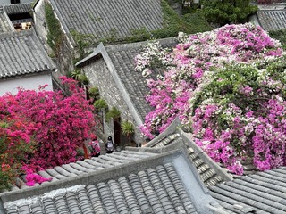 D566E9DD-5811-4AC6-9CFA-9D965050089F/L0/001
