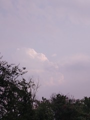 42363