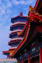 E708C223-9B8B-4D57-A526-6527E246D386/L0/001