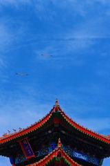 F66B10BF-5E45-4C84-9A7A-A3088BC5568C/L0/001