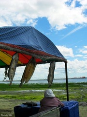 2013-5-19.jpg