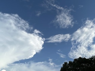 CB49979F-2474-4127-A21C-00D394E3FC73/L0/001