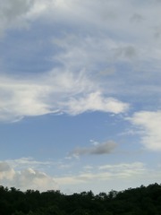D7A049B0-773E-4298-B457-3D2653A214EE/L0/001