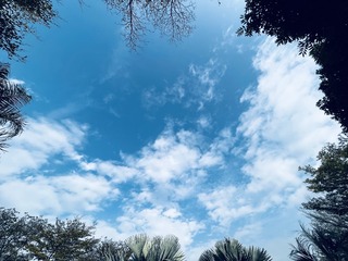 081360AD-71C4-47C4-826E-4609CE0E5D14/L0/001