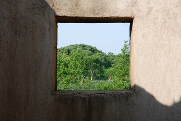 356