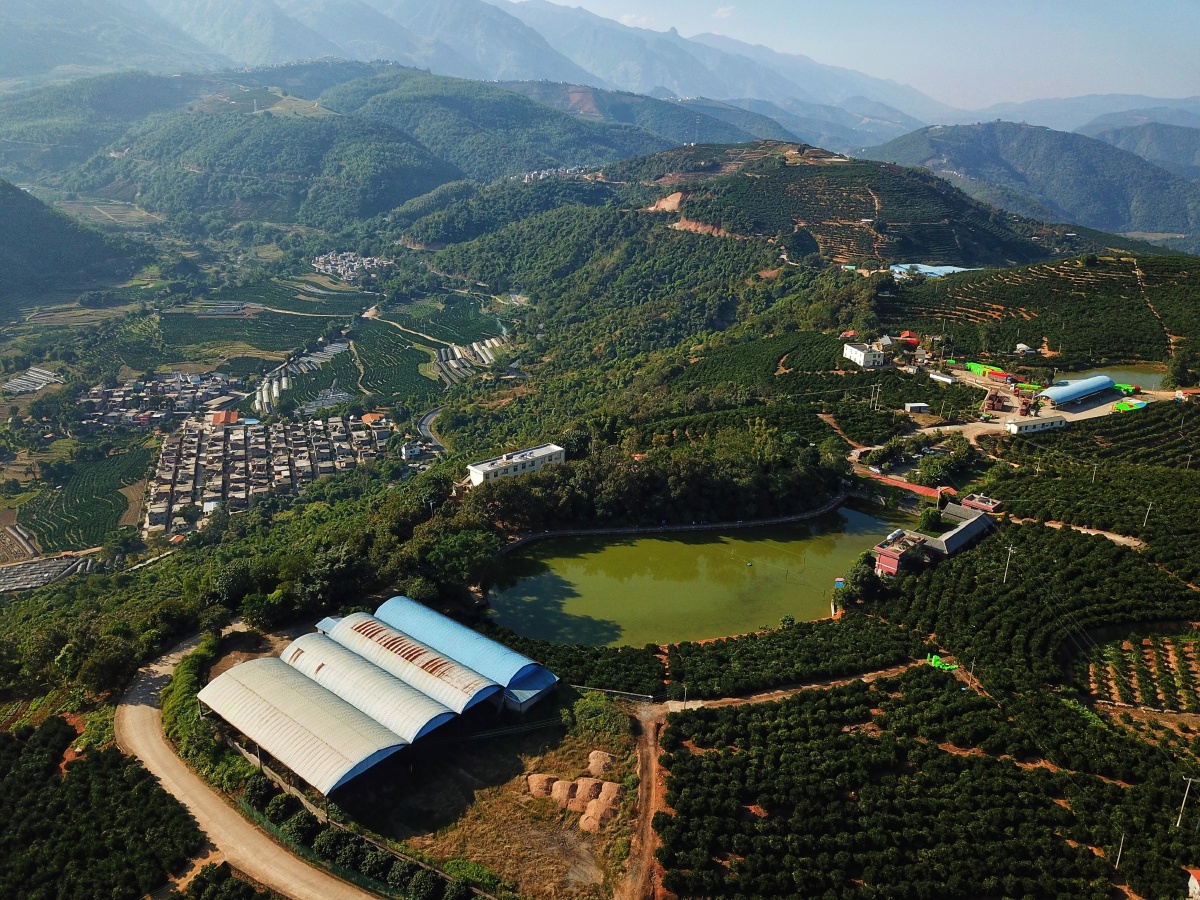 褚橙庄园哀牢山云海日出