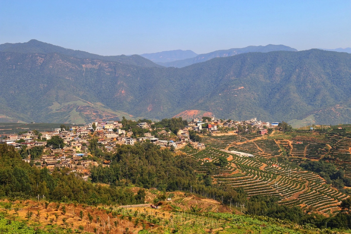 褚橙庄园哀牢山云海日出