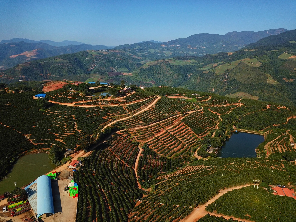 褚橙庄园哀牢山云海日出