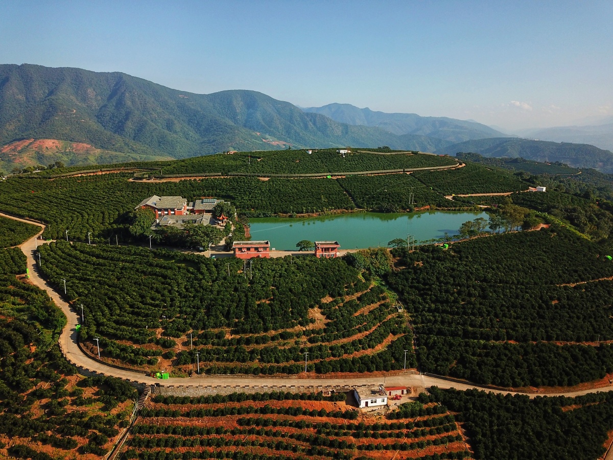 褚橙庄园哀牢山云海日出
