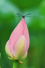 001
