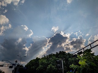 1000009978
