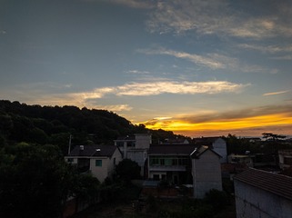 1000015317