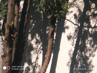 2568172