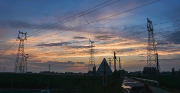 1000049361
