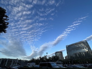 64B983FB-6F32-4445-B134-6919AF626CC3/L0/001