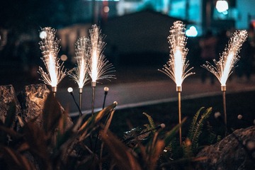 F43DB69E-9FE6-42D0-B1FE-A9E9217B66DC/L0/001