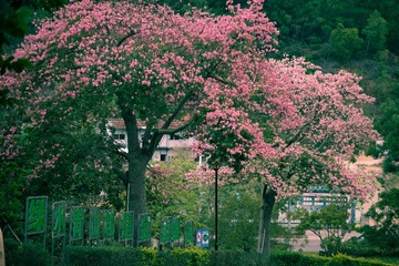 9D121DEE-9287-492C-AE40-A5FA143CA1D6/L0/001
