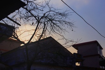 IMGP1111.JPG