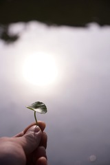 001