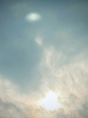 2DFD443A-709E-4DC6-9016-C80276405CA1/L0/001