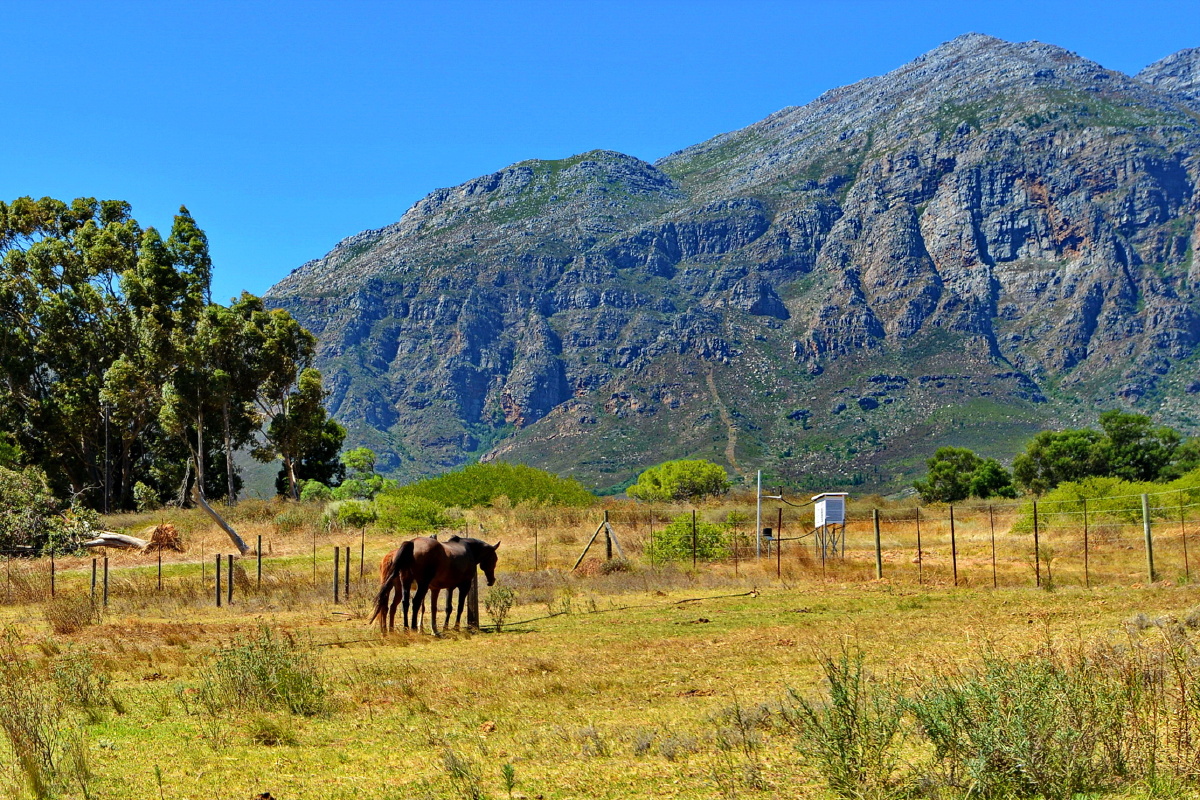 南非行开普敦乡村风光五