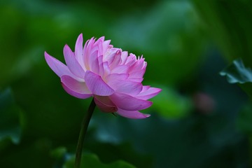 DSC_6580