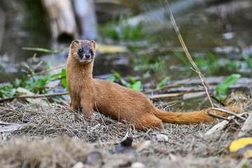 DSC_7327