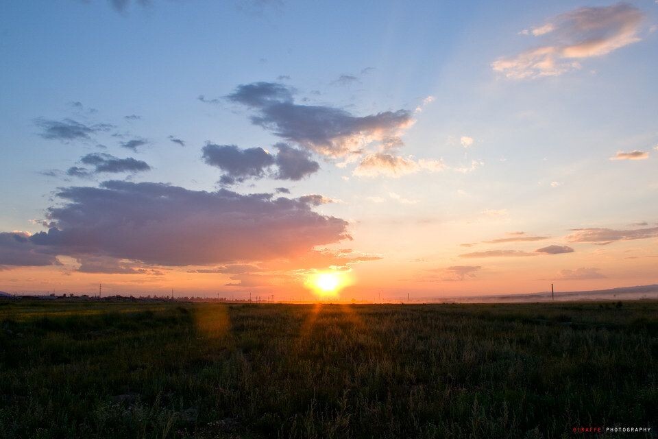 夕阳<br />
