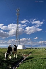 IMGP22291.jpg