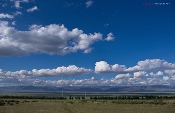 IMGP2258.jpg