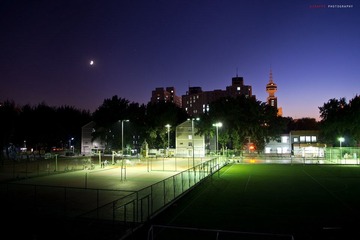IMGP3862.jpg