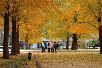 IMGP4550.jpg