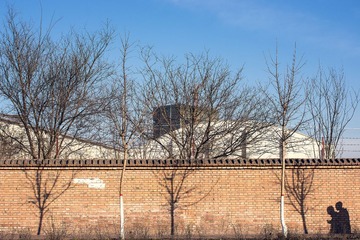 IMGP54018.jpg