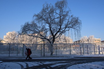 IMGP5944.jpg
