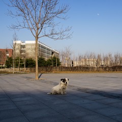 IMGP6127.jpg